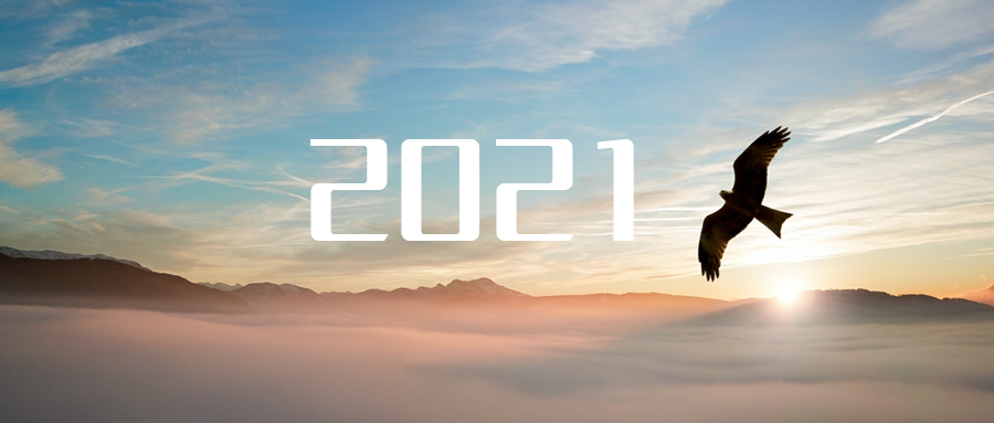 乘“峰”而上，智“盈”未来 ——2021年zoty中欧体育官方网站环境高级资深副总裁新年开工动员